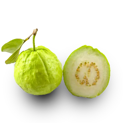 عکس png امرود یا گواوا با کیفیت بالا برای Adobe Illustrator