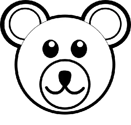 تصویر از نقاشی خرس با فرمت PNG بدون رنگ برای ایجاد لوگو روی لباس بچگانه 