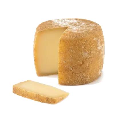 دانلود عکس استوک پنیر تهیه شده از شیر بز