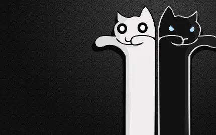 عکس کارتونی از دو گربه سیاه و سفید در زمینه مشکی 