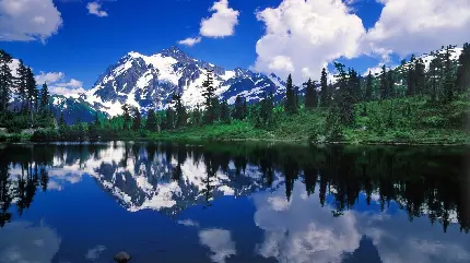 دلپذیر ترین منظره طبیعی دریاچه شفاف پر آب کوهستانی 