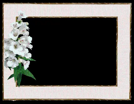 قاب یا کادر عکس مجلسی گل دار مخصوص انواع عکس 