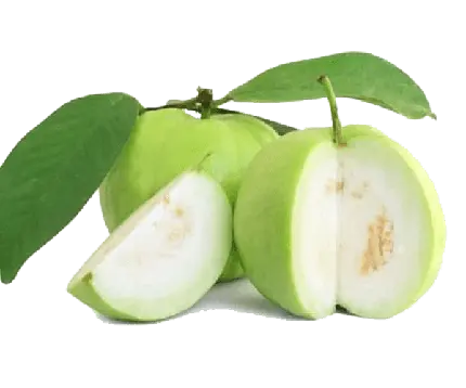 دانلود عکس امرود سرشار از ویتامین های مورد نیاز بدن png