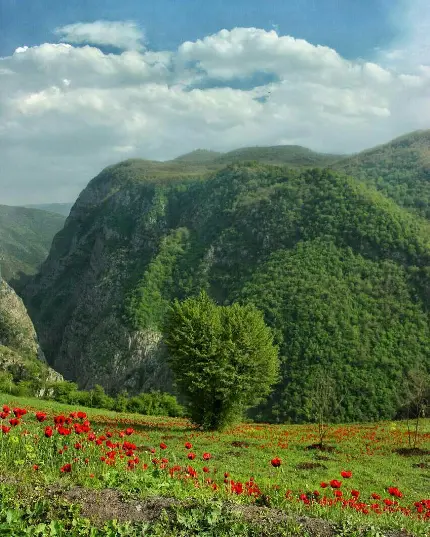 دشت و لاله زار سرسبز مازندران مناسب لوکیشین فیلمبرداری