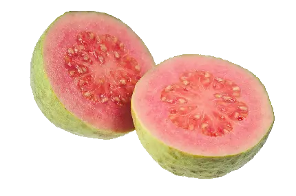 عکس گواوا یا زیتون محلی Guava میوه‌ گرمسیری شیرین و خوشمزه