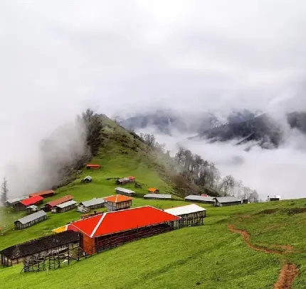 عکس جاده شمال تو ماشین