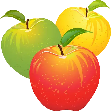زیباترین تصویر سیب های زرد و سبز و قرمز خوشمزه ۴ فصل 
