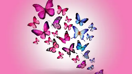 بکگراند دخترانه جدید 5K طرح پروانه های رنگارنگ با زمینه صورتی شاد 