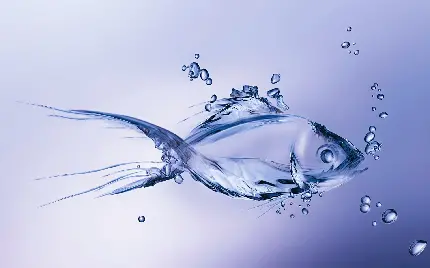 تصویر زمینه ماهی طراحی شده با آب مناسب محیط ویندوز 11