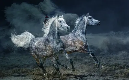 جدیدترین عکس زمینه و والپیپر طراحی شده از دو اسب اصیل