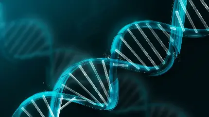 عکس از DNA سلول های انسان با وضوح عالی 