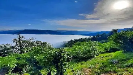 عکس جاده شمال تو ماشین