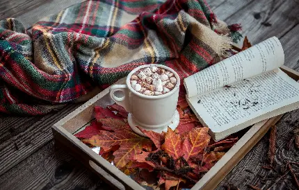 عکس پروفایل کتاب و نوشیدنی شکلات داغ با مارشمالو در یک روز سرد