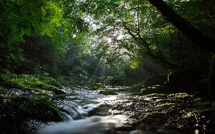 تصویر زمینه برای ایجاد پست و استوری در اینستا از مناظر طبیعی 