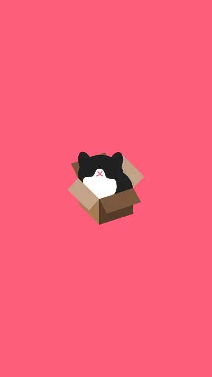 والپیپر صورتی مینیمال گوشی از گربه سیاه سفید داخل جعبه 
