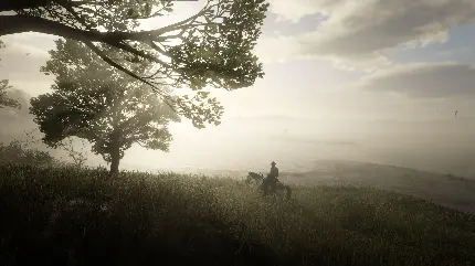 تصویر زمینه چمنزار مه گرفته و کابوی سوار بر اسب سفید