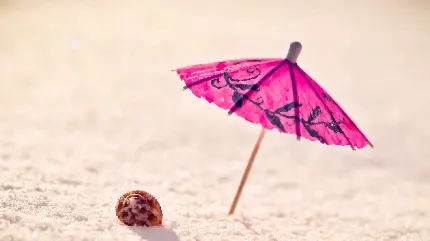 چتر کوکتل و حلزون در شن و ماسه های ساحل آفتابی