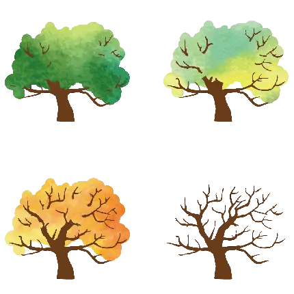 png عکس چهار فصل روی شاخ و برگ های درخت کارتونی