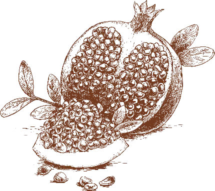 نقاشی انار زیبا