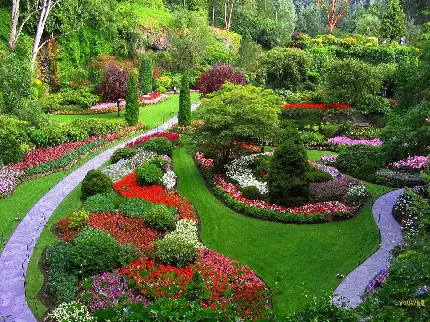 زیباترین عکس باغ بونسای با گل های رنگارنگ بهاری