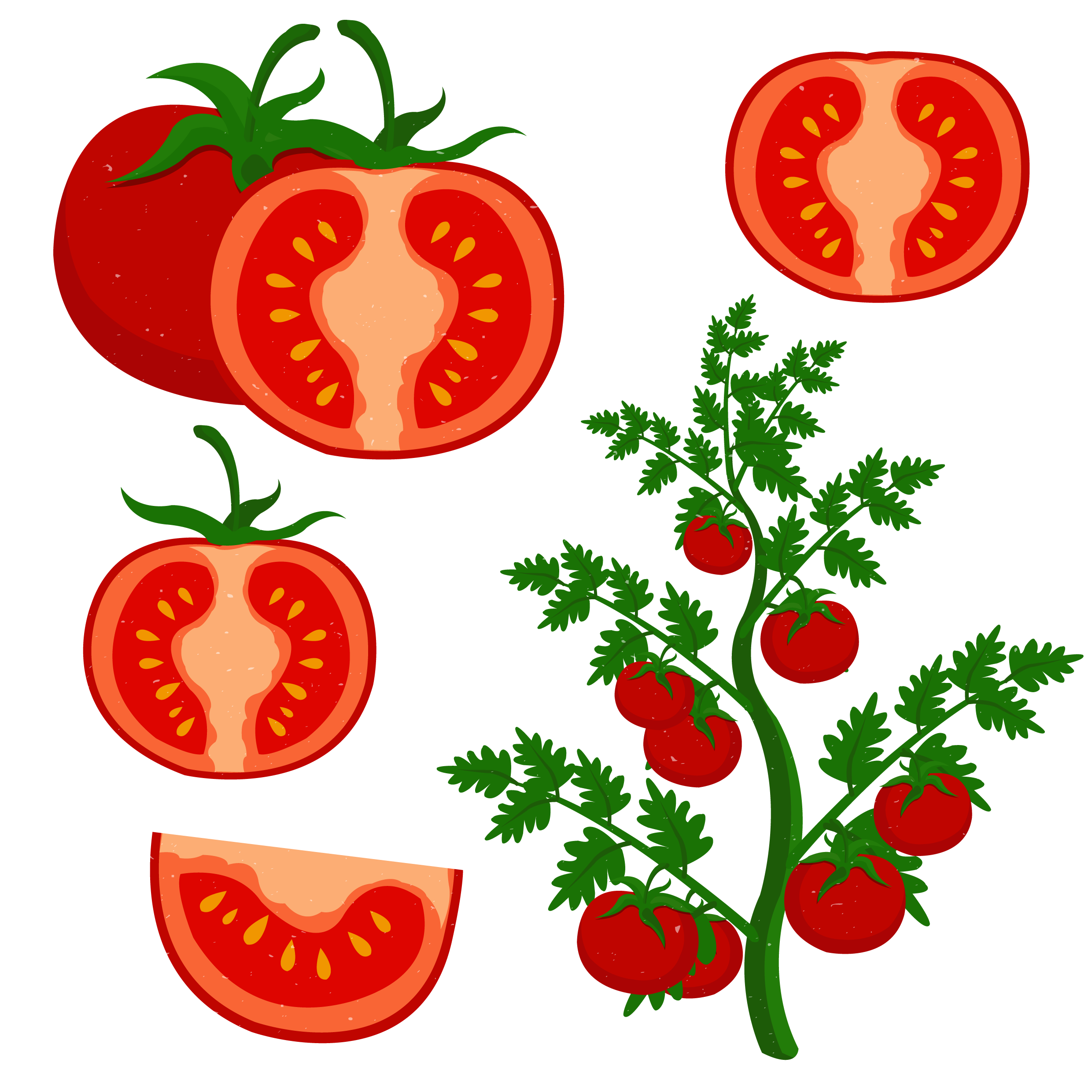 تصویر گوجه فرنگی های قرمز درشت با فرمت PNG پی ان جی