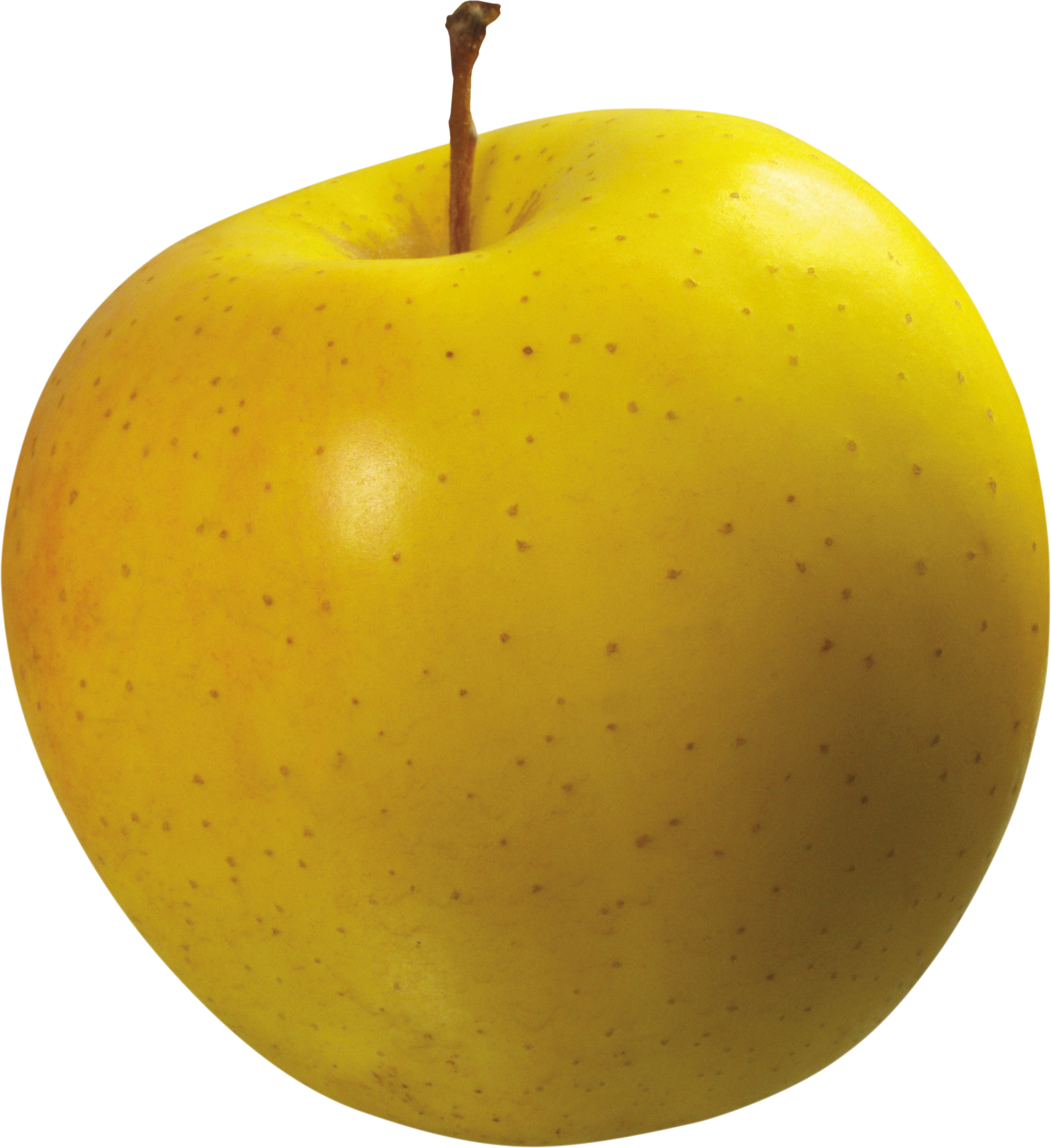 تصویر ساده و شیک سیب زرد طلایی از فاصله نزدیک با فرمت png