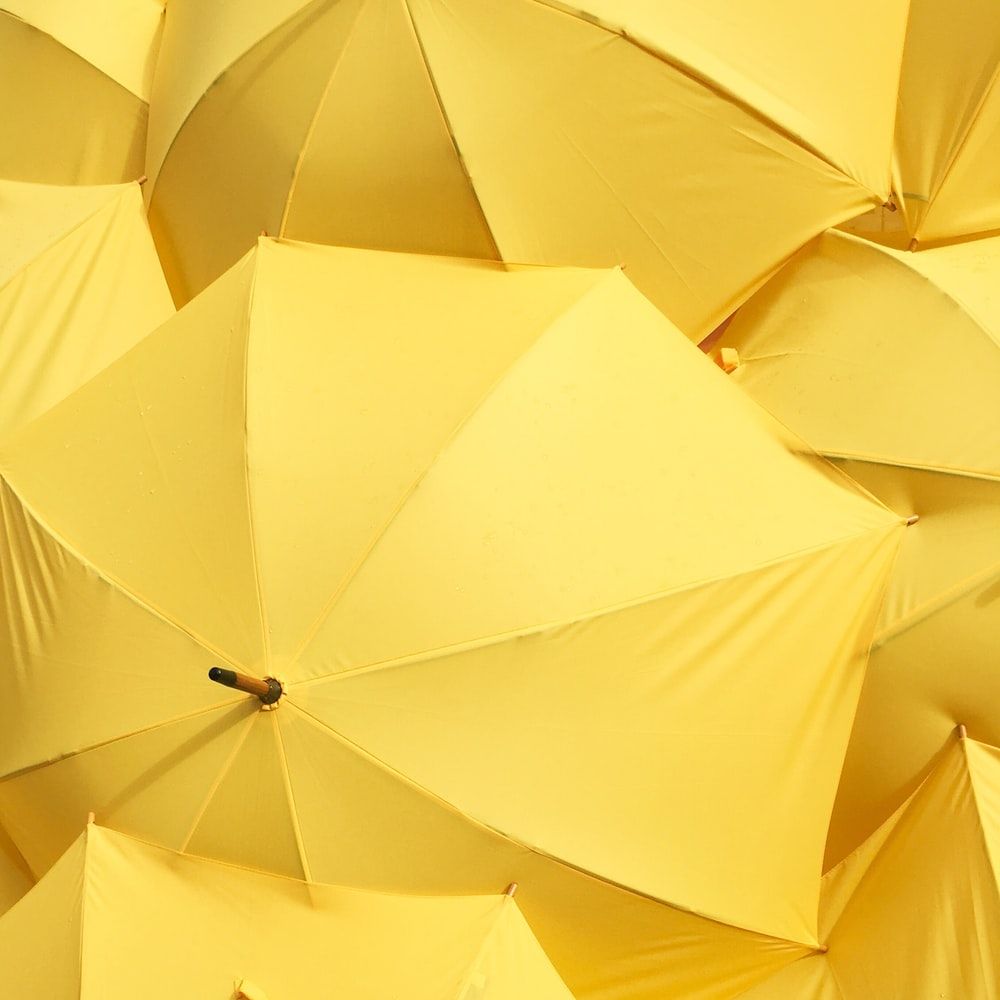تصویر چتر های زرد رنگ باز شده در کنار هم با کیفیت HD