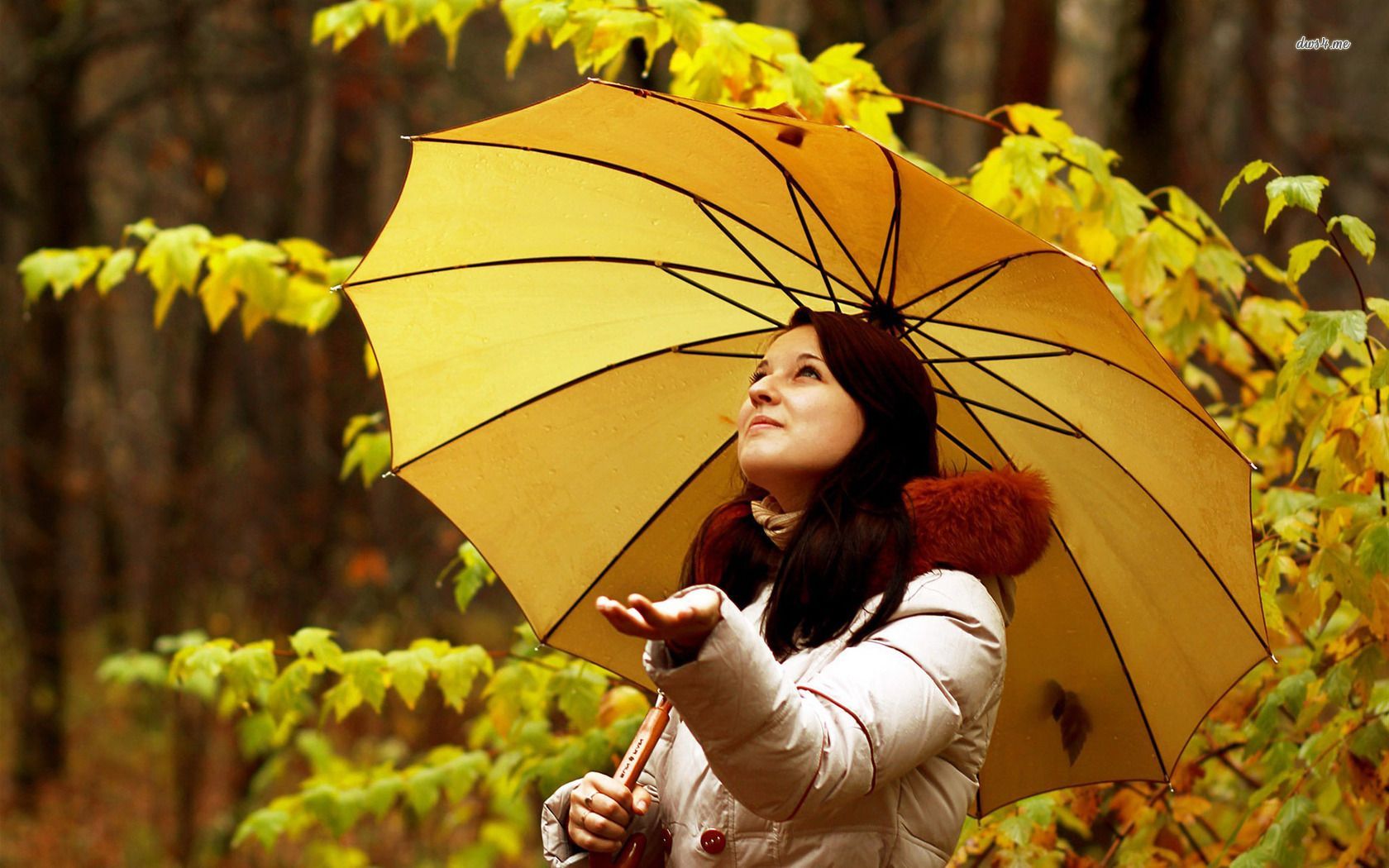 تصویر زمینه رمانتیک دختر با چتر زرد رنگ زیر باران پاییزی