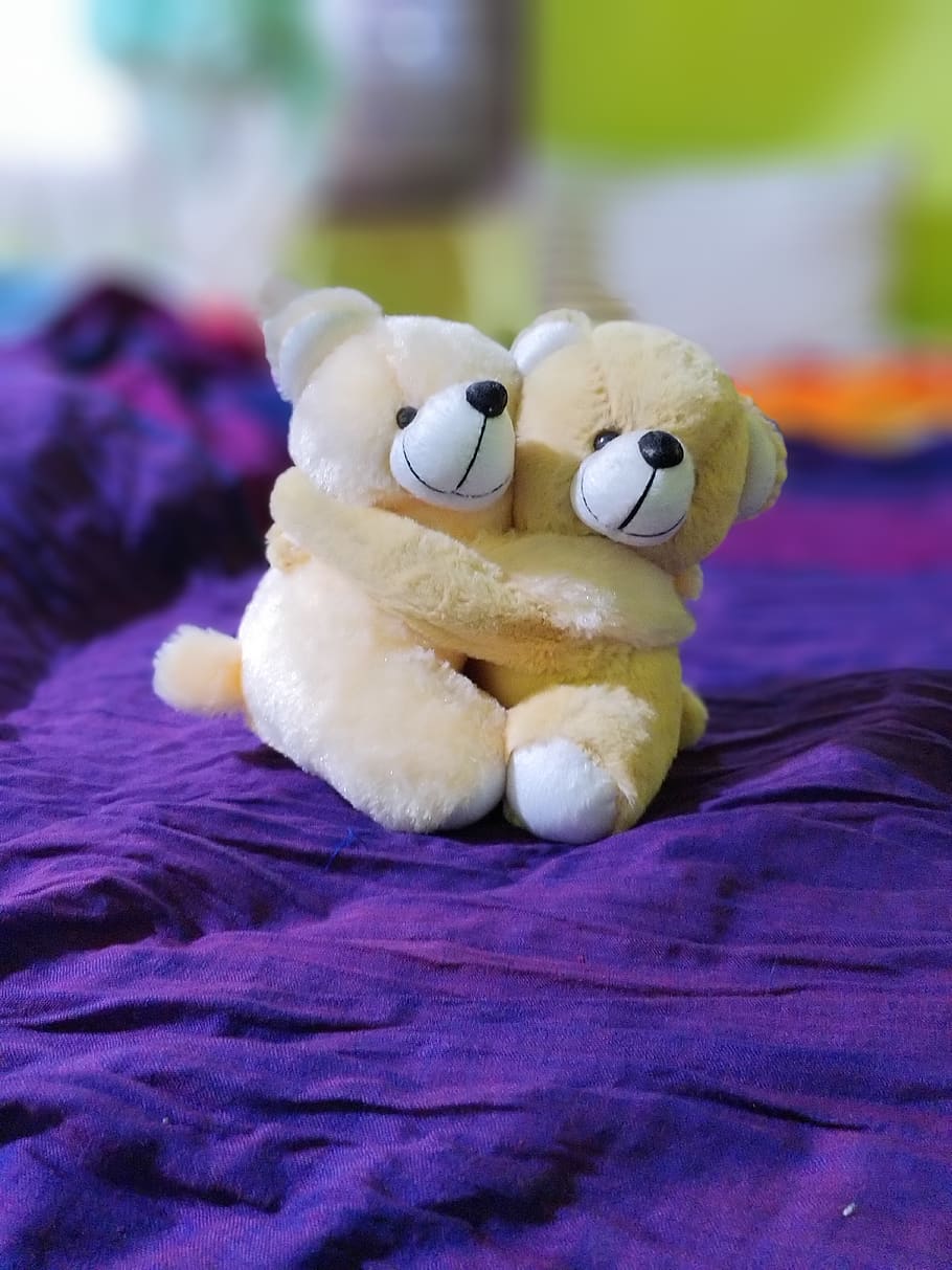 دانلود تصویر عاشقانه خرس های عروسکی ناز برای روز ولنتاین 