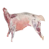 چاپ قاب موبایل و گوشی گوشت پرخاصیت بز با چربی کم به صورت png و دوربری شده