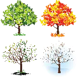 چاپ قاب موبایل و گوشی عکس درخت tree در چهار فصل سال به صورت فایل پی ان جی