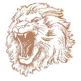 چاپ قاب موبایل و گوشی دانلود عکس پروفایل نقاشی سر شیر وحشی و درنده در حال غرش 