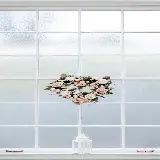 چاپ قاب موبایل و گوشی عکس شیک و مدرن گل های صورتی و سفید پشت پنجره مخصوص پس زمینه گوشی گلکسی A05 سامسونگ