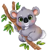 چاپ قاب موبایل و گوشی تصویر png کوالا شاد و خوشحال روی شاخه درخت اکالیپتوس