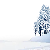 چاپ قاب موبایل و گوشی تصویر درخت برفی گرافیکی با فرمت PNG و دوربری شده بدون زمینه 