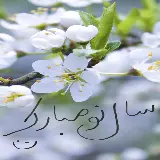 چاپ قاب موبایل و گوشی عکس تبریک نوروز 1403 با بکگراند شکوفه های زیبای بهاری