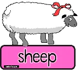 چاپ قاب موبایل و گوشی عکس گوسفند ترجمه شده به انگیسی sheep بدون پس زمینه
