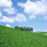 چاپ قاب موبایل و گوشی تصویر پروفایل فول اچ دی از طبیعت واقعی و آرامش بخش با ویوی چمنزار