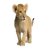چاپ قاب موبایل و گوشی عکس توله و بچه شیر کوچولو بامزه با کیفیت عالی