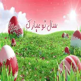 چاپ قاب موبایل و گوشی والپیپر سبزه های بهاری با تخم‌ مرغ های رنگی برای تبریک نوروز ۱۴۰۳