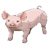 چاپ قاب موبایل و گوشی عکس PNG ساده و شیک خوک بچه گانه صورتی با کیفیت بالا