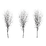 چاپ قاب موبایل و گوشی عکس واقعی درخت برفی با فرمت png پی ان جی و دوربری شده 