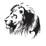 چاپ قاب موبایل و گوشی دانلود رایگان PNG سر شیر PNG Lion Head با کیفیت بالا