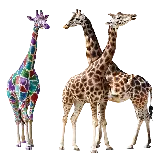 چاپ قاب موبایل و گوشی دانلود رایگان عکس PNG زرافه Giraffe PNG Transparent