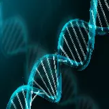 چاپ قاب موبایل و گوشی عکس از DNA سلول های انسان با وضوح عالی 