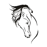 چاپ قاب موبایل و گوشی png رایگان عکس اسب نماد آزادی و زیبایی با کیفیت بالا