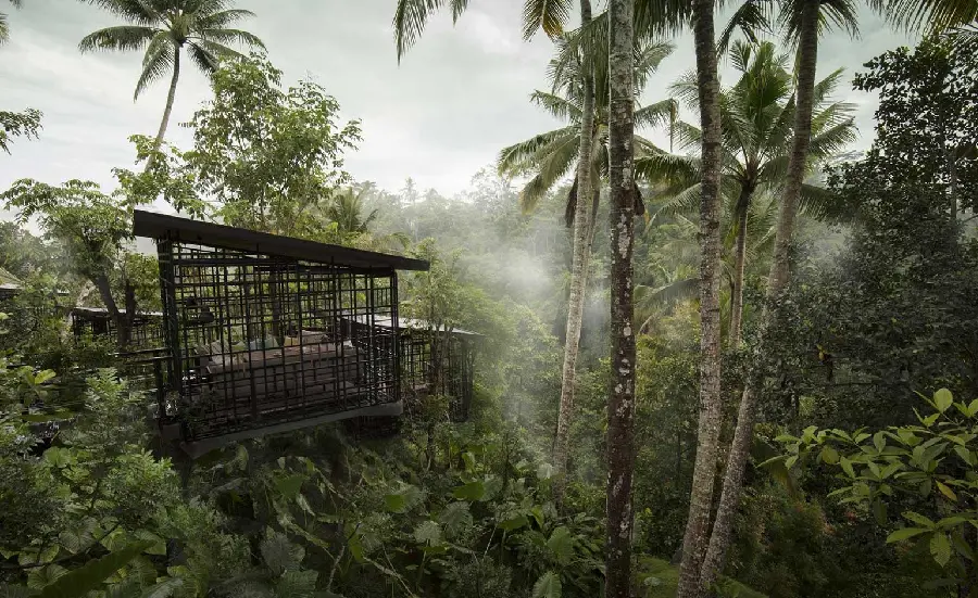 عکس ویلای لوکس و ساده در طبیعت بالی اندونزی