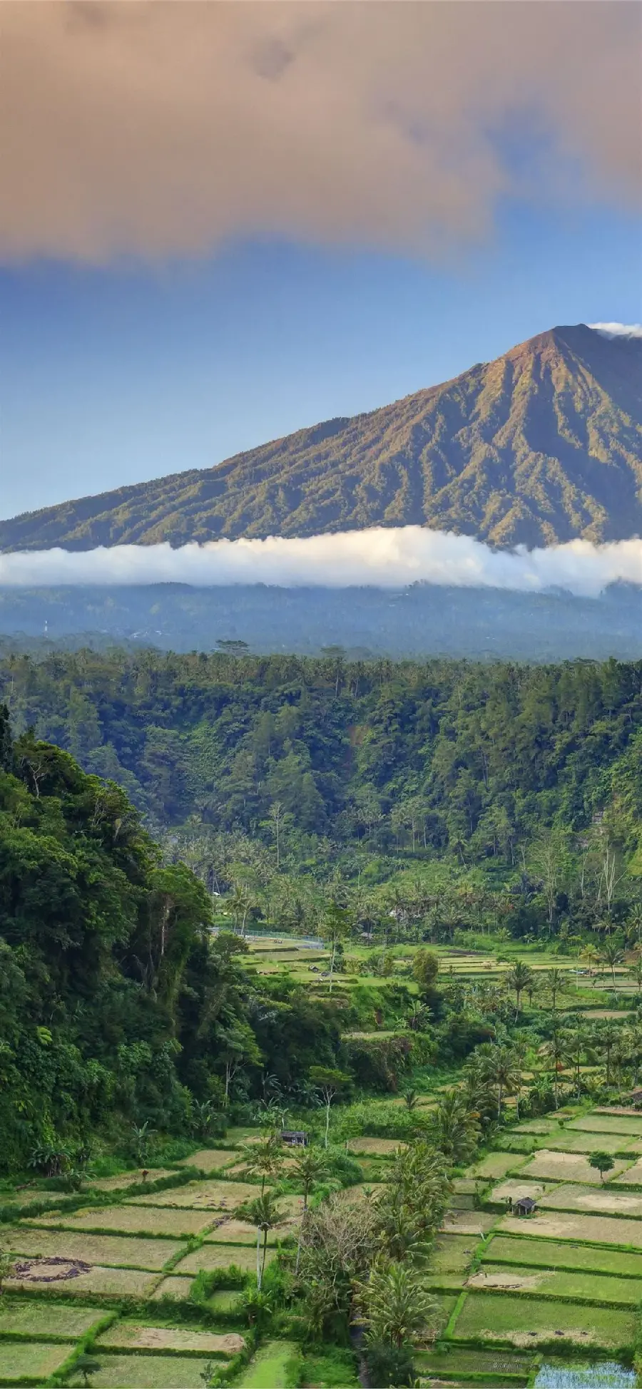 تصویر زمینه گوشی موبایل از طبیعت بالی اندونزی