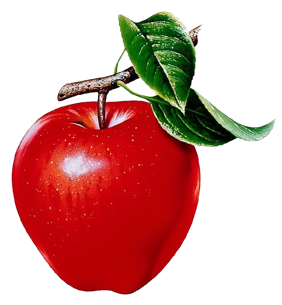 عکس با کیفیت از سیب قرمز و برگ‌های سبز بدون پس زمینه
