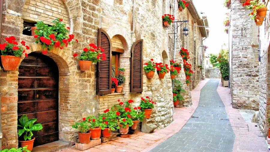 تصویر زمینه با کیفیت از خیابان ایتالیا با گلدان‌های گل در کنار دیوار